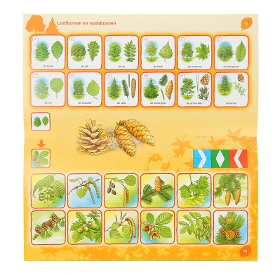 Loco Mini - Dieren & Planten in het Bos Groep 3-4 (6-8 jr.)