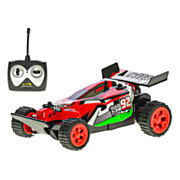 Roadstar RC Buggy Extreme