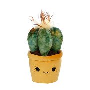 Peluche plante câline Take Me Home - Cactus