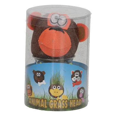 Grass Friends Tierpflege