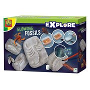 SES Glow in the Dark Fossilien