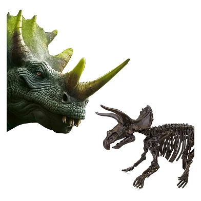 SES Explore Dino and Skeleton Dig 2in1 – Triceratops