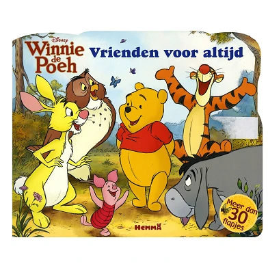 Winnie de Poeh Flapjesboek