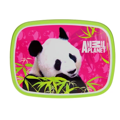Mepal Campus Lunchbox Midi - Animal Planet Panda