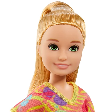 Barbie en Chelsea The Lost Birthday Stacie & Huisdier