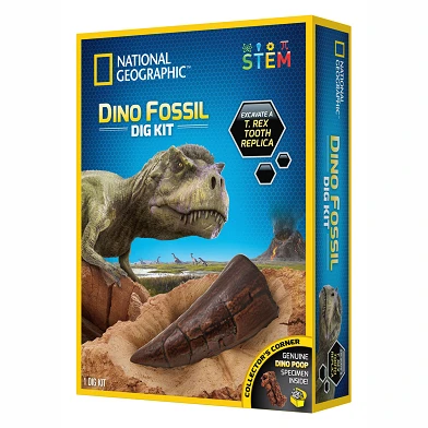 Fouilles de fossiles de dinosaures National Geographic