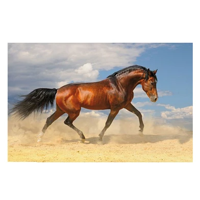 Onderlegger Kangaro paard 44 x 68 cm
