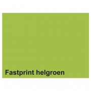 Kopierpapier Fastprint A4 80gr hellgrün 100Blatt
