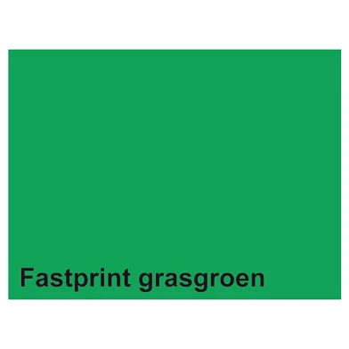 Papier à copier Fastprint A4 160gr vert herbe 50 feuilles