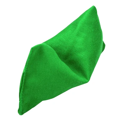 Bonenzak groen, 8 x 14 cm, gewicht: 80 g