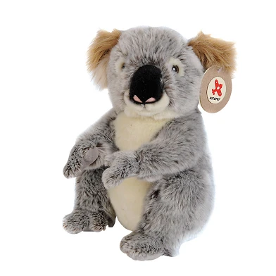 Pluchen Knuffel Koala, 30cm