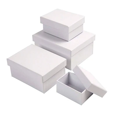Rechteckboxen Weiß mit Deckel, 4 Stk.