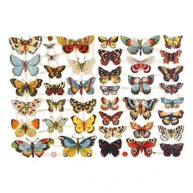 Vintage Bilder Schmetterlinge, 2 Blatt