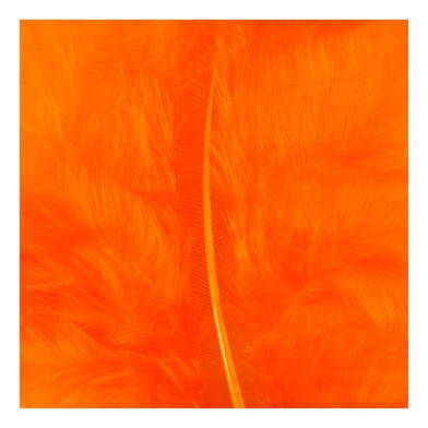 Dons Oranje 5-12 cm, 15st.