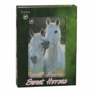 Sweet Horses Tagebuch mit Schloss
