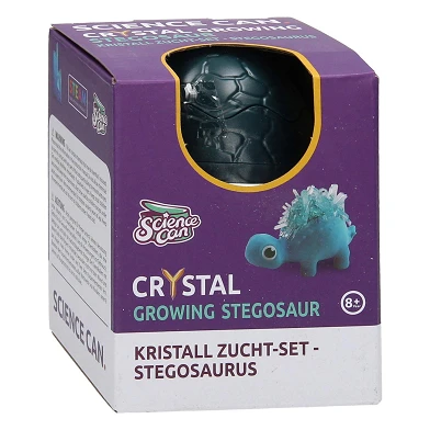 Kristall-Dinosaurier-Wachstumsset Stegosaurus