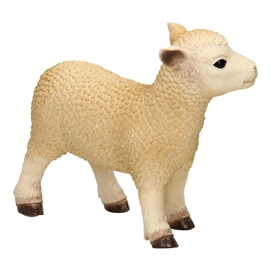 Nutztiere XL - Schafe