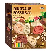Set d'argile Fossiles de dinosaures