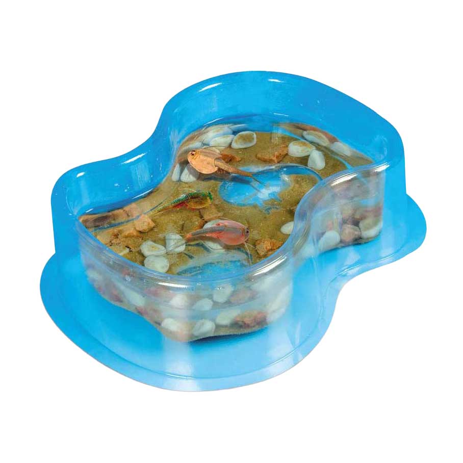 Wissenschaft und Spiele – Wachsende Triops