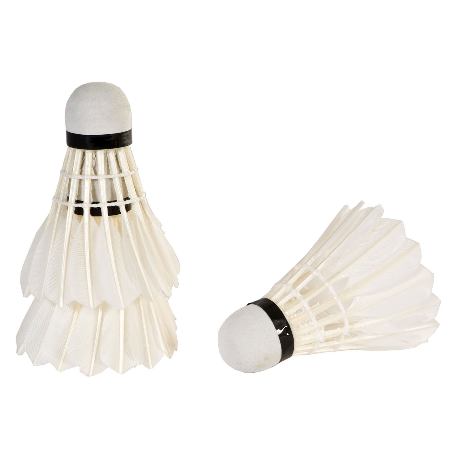 Plumes de navette SportX blanches dans un étui, 3 pcs.