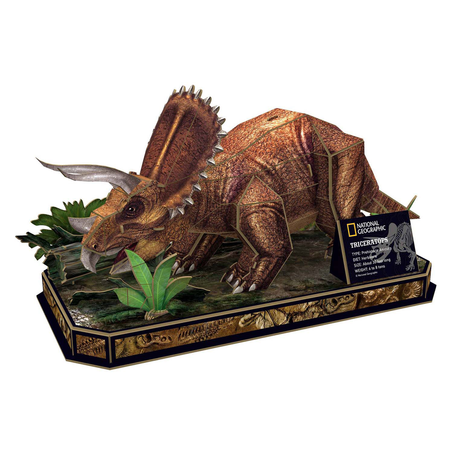 Puzzle 3D cubique amusant Tricératops National Geographic