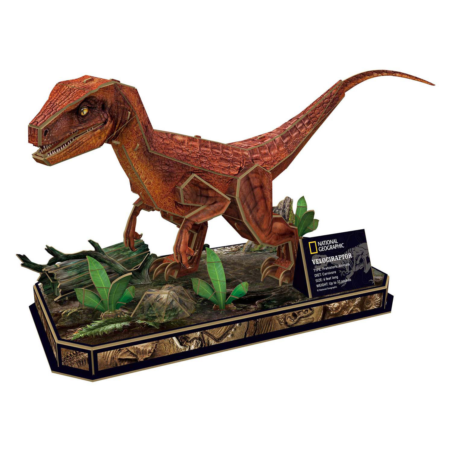 Puzzle 3D cubique amusant Vélociraptor National Geographic