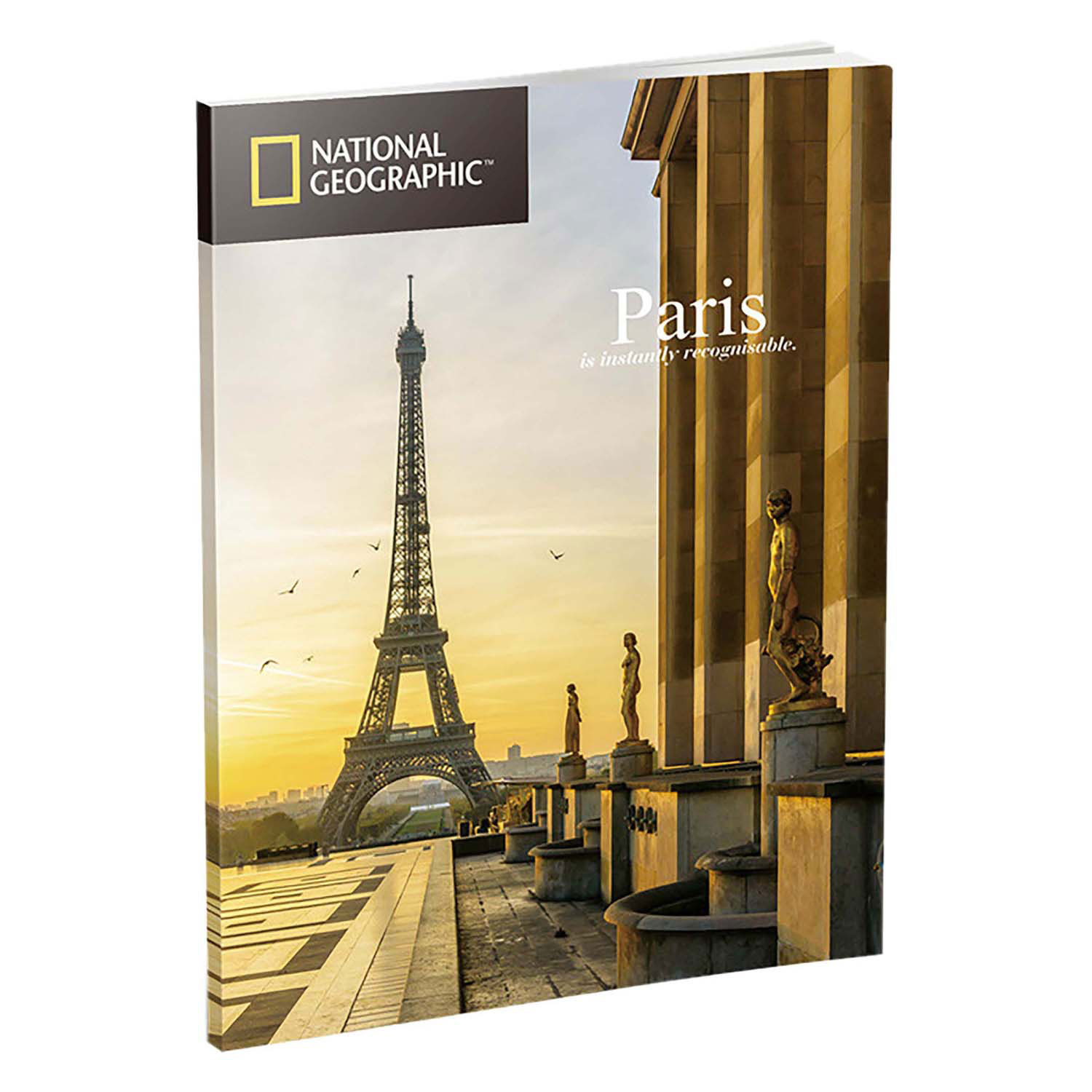 Kubisches lustiges 3D-Puzzle National Geographic Notre Dam Paris