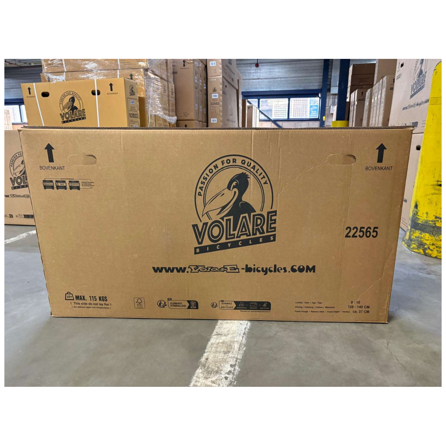 Volare XC Race Fiets - 24 inch - Nexus 3 - Wit/Roze