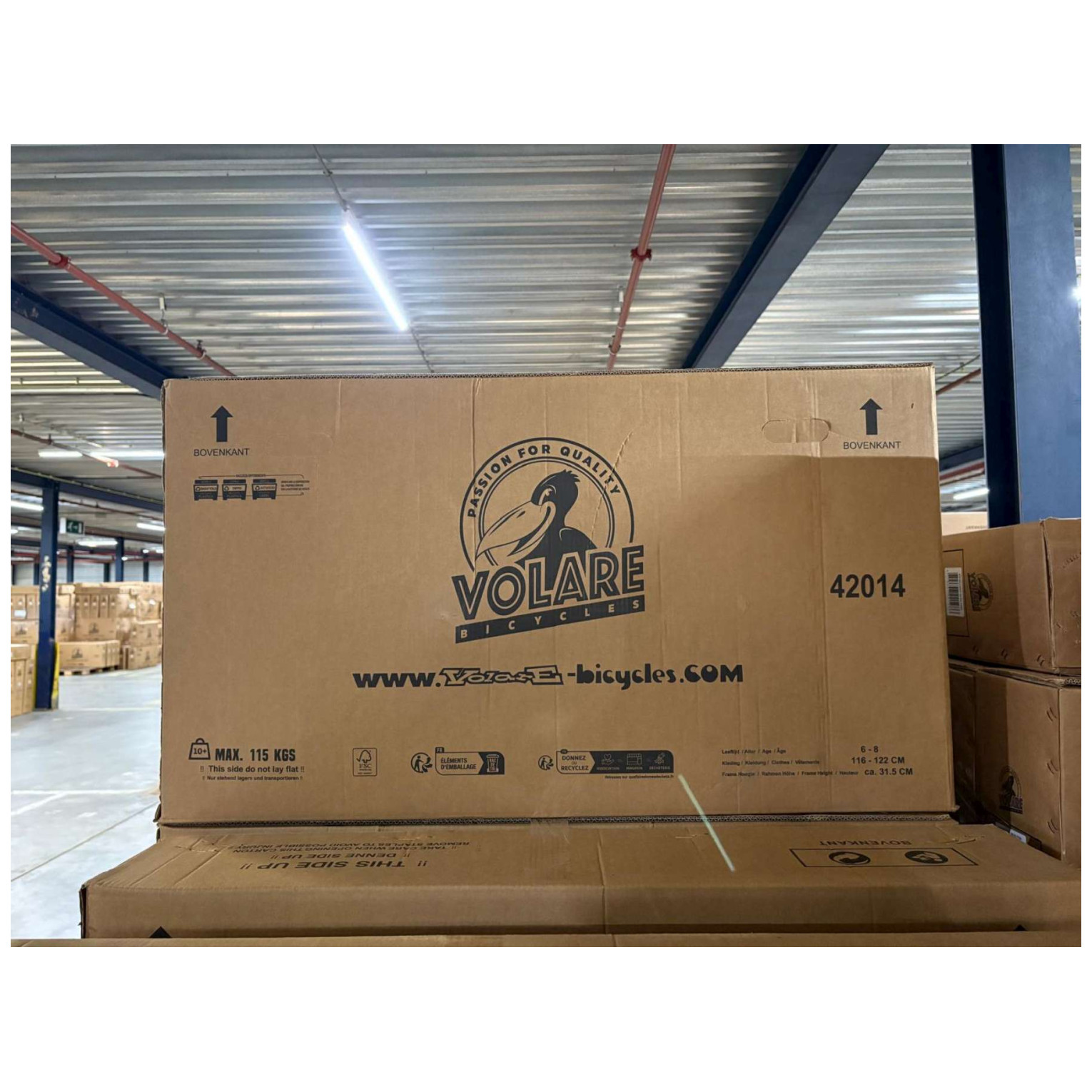 Volare Rocky Fiets - 20 inch - 3 speed - Groen/Grijs