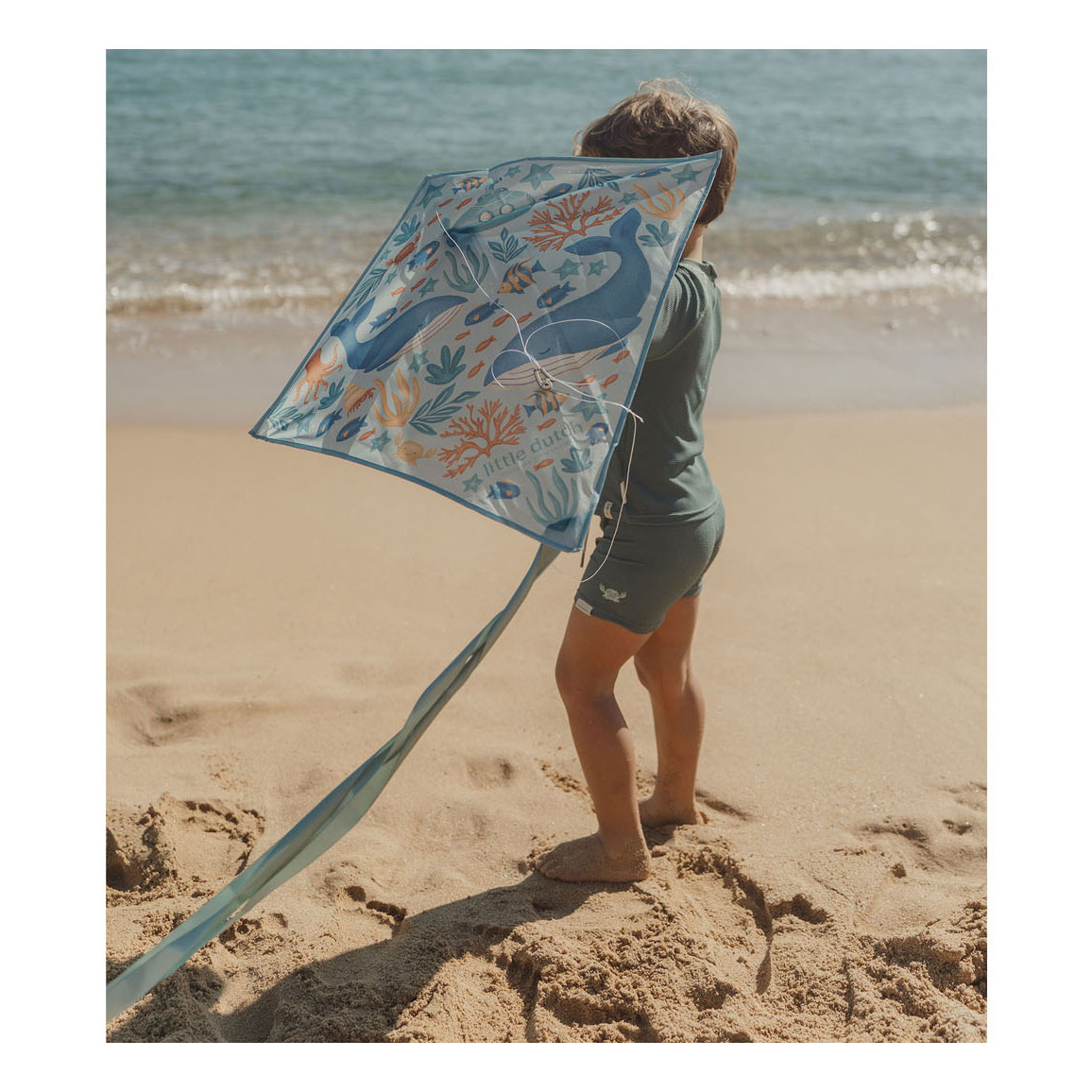 Little Dutch Ocean World Diamant Vlieger