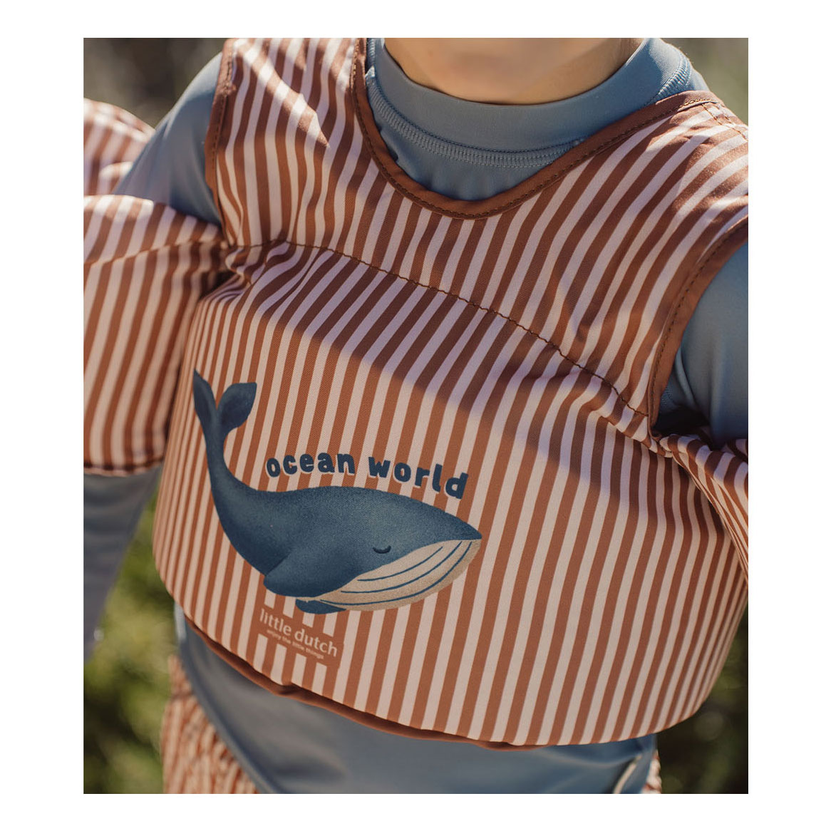 Petit compagnon de pagaie du monde océanique néerlandais