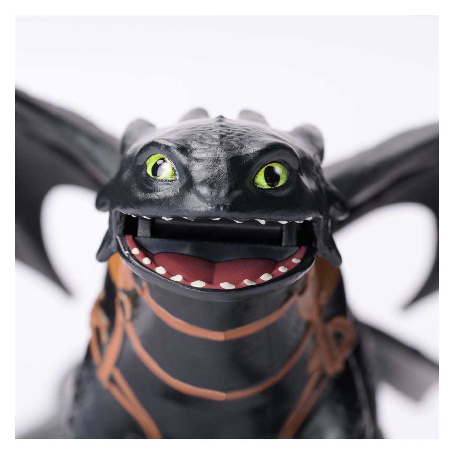 Draak en Viking - Tandloos & Hikkie