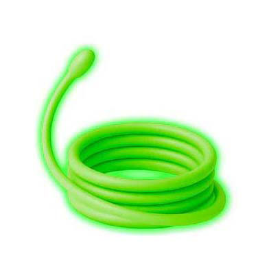 Kidywolf Kidyneon Dinosaure - 3ème.