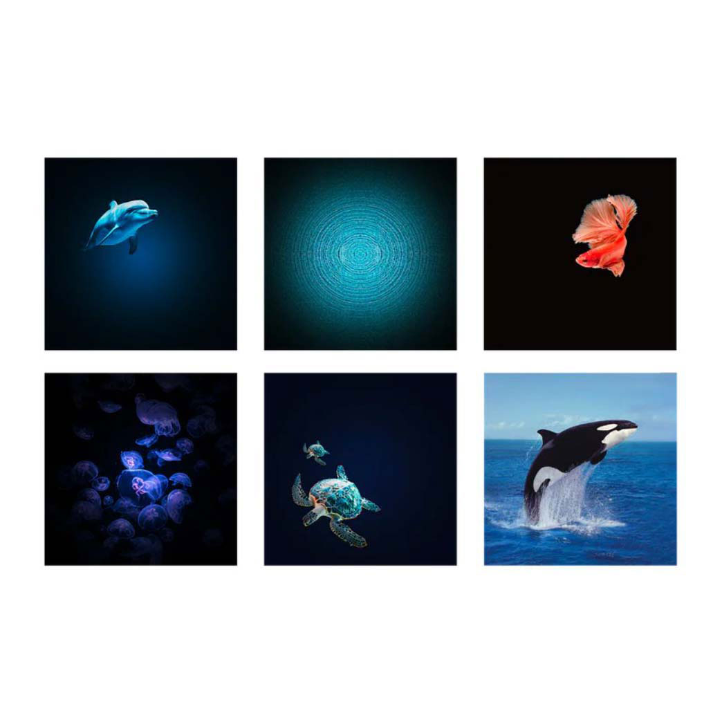 Kidywolf Kidystar Projector Oceaan