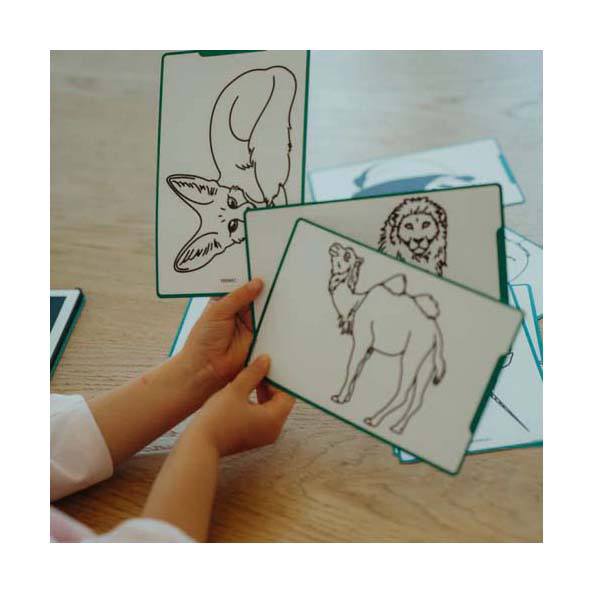 Kidywolf Kidydraw Mini Overtrekboek Dieren van de Wereld