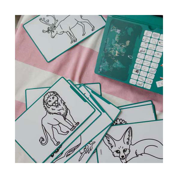 Kidywolf Kidydraw Mini Overtrekboek Dieren van de Wereld