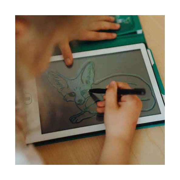 Kidywolf Kidydraw Mini Overtrekboek Dieren van de Wereld