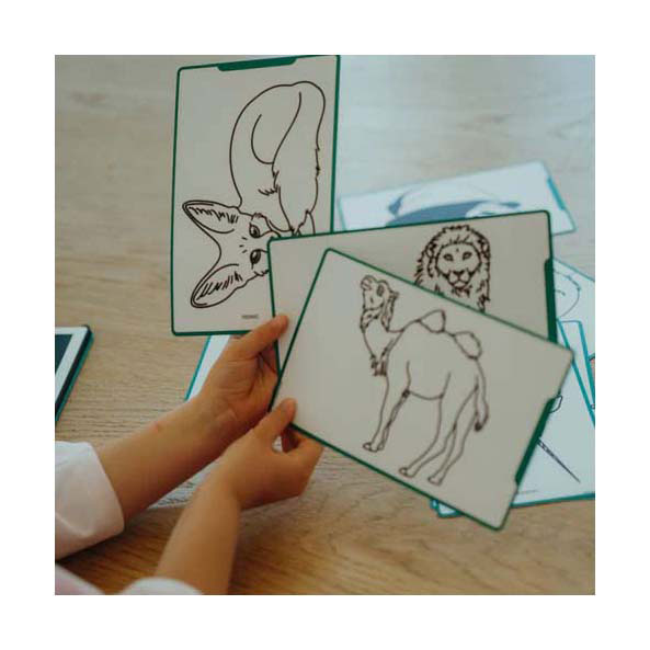 Kidywolf Kidydraw Mini Navulling Dieren van de Wereld en Oceanen & Piraten