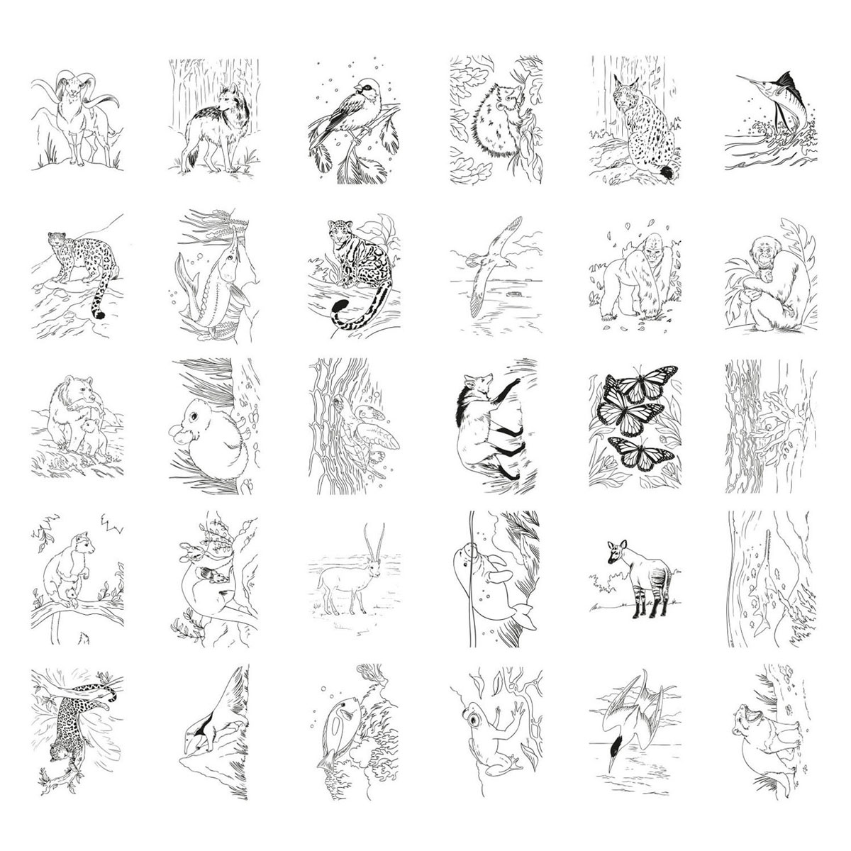 Kidywolf Kidydraw Animals Tekentablet