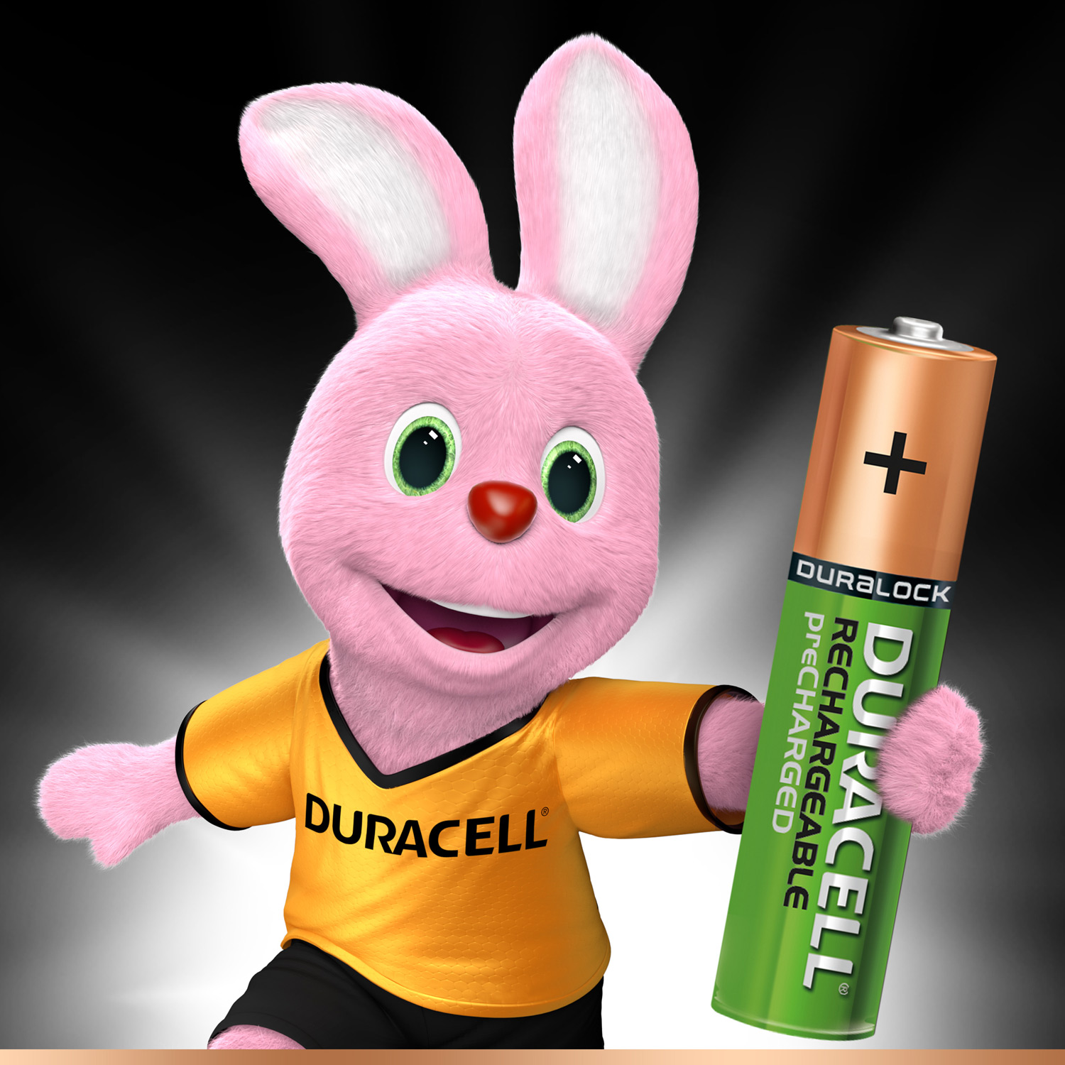 Wiederaufladbare Batterien Duracell Wiederaufladbare NimH Stay Charged AAA/HR03 900 mAh, 4 Stk.