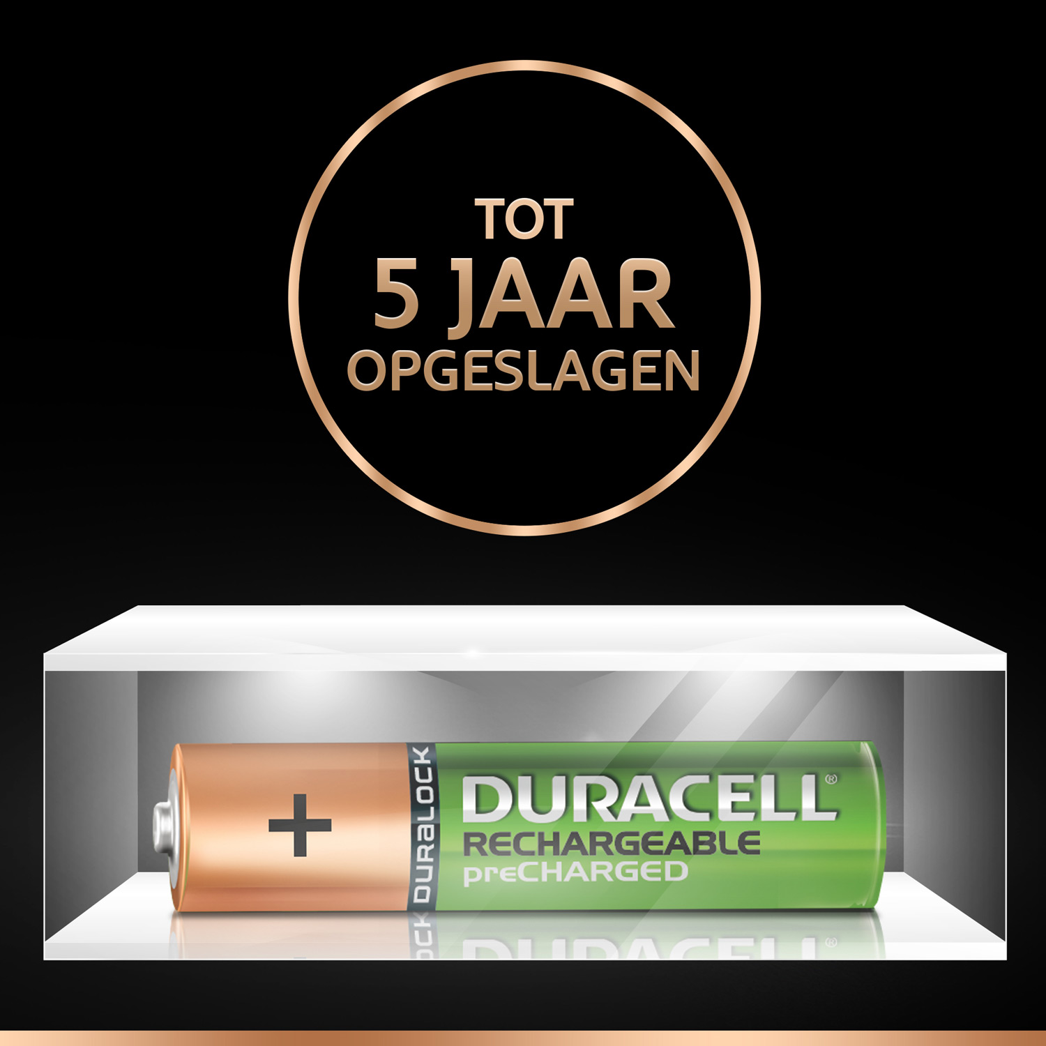 Oplaadbare Batterijen Duracell Rechargeable NimH Stay Charged AAA/HR03 900mAh, 4st.
