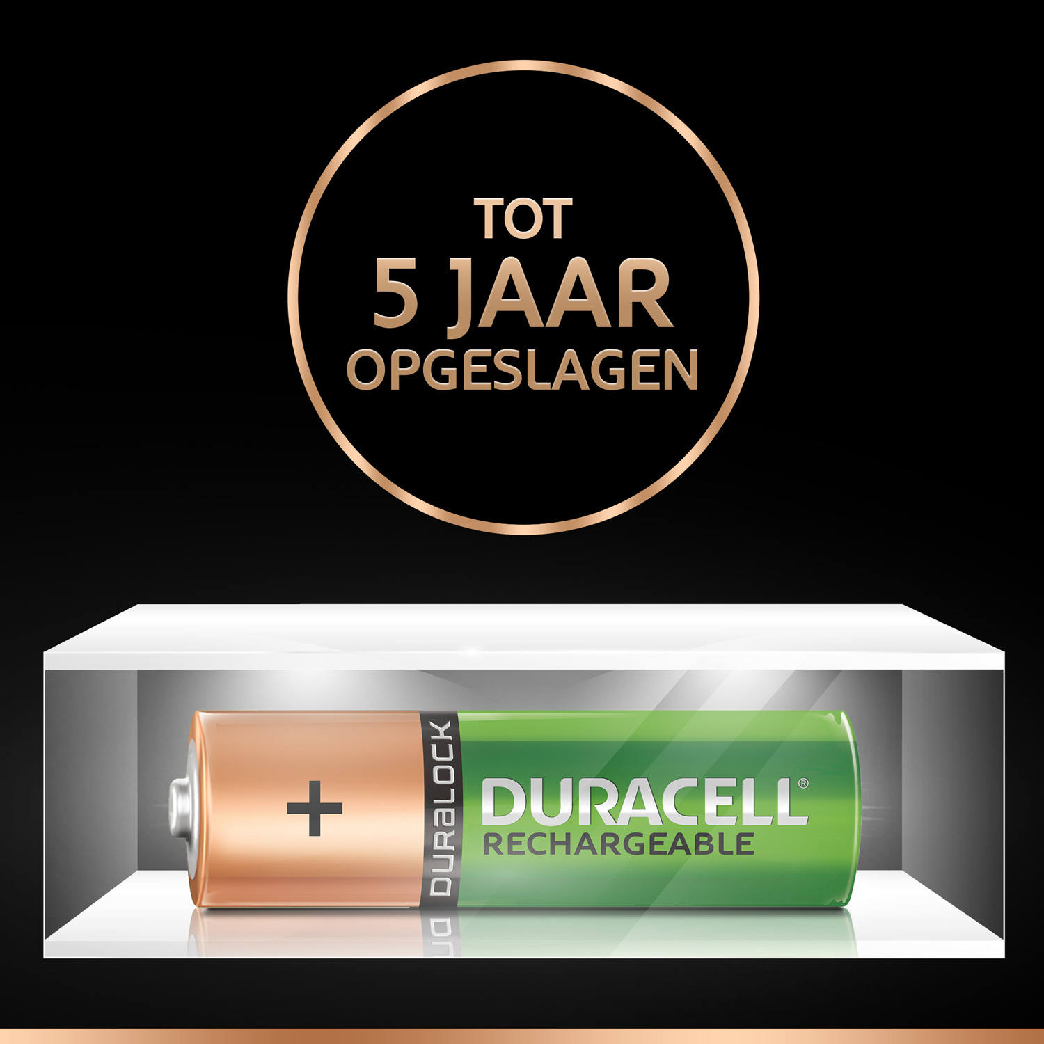 Oplaadbare Batterijen Duracell Rechargeable NimH Stay Charged AA/HR6 2500mAh, 4st.