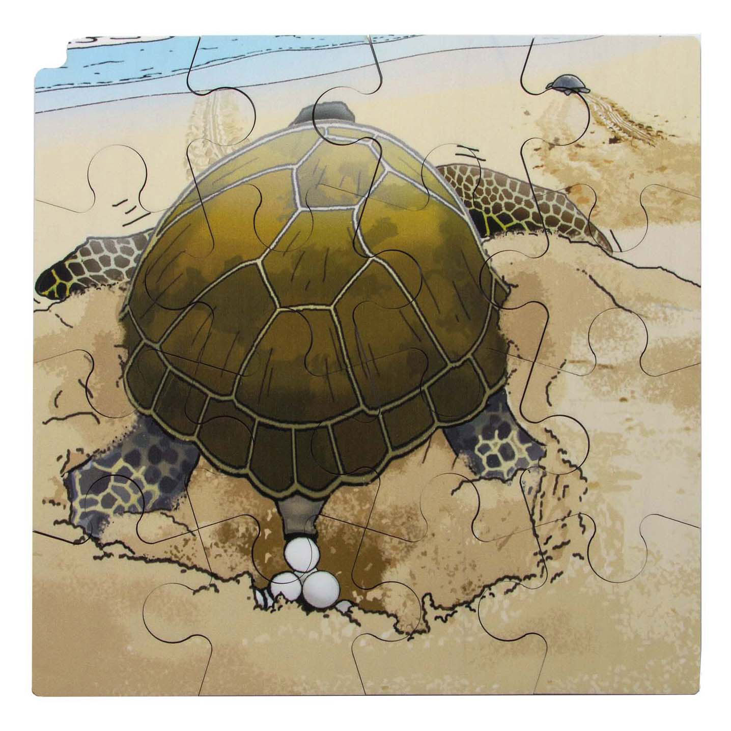 Rolf - Groei en 4 Lagenpuzzel Schildpad - 86st.