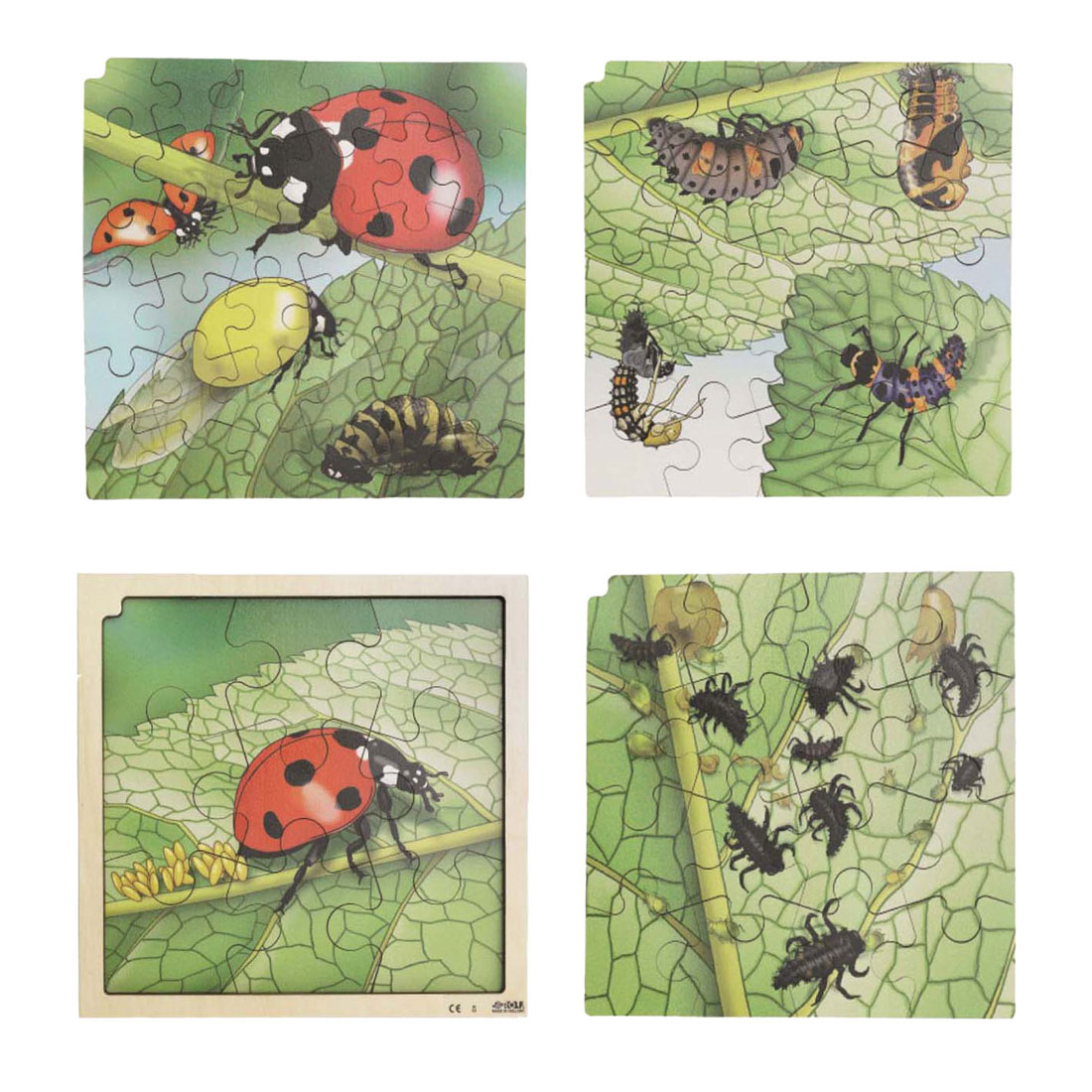 Rolf - Groei en 4 Lagenpuzzel Lieveheersbeestje - 86st.