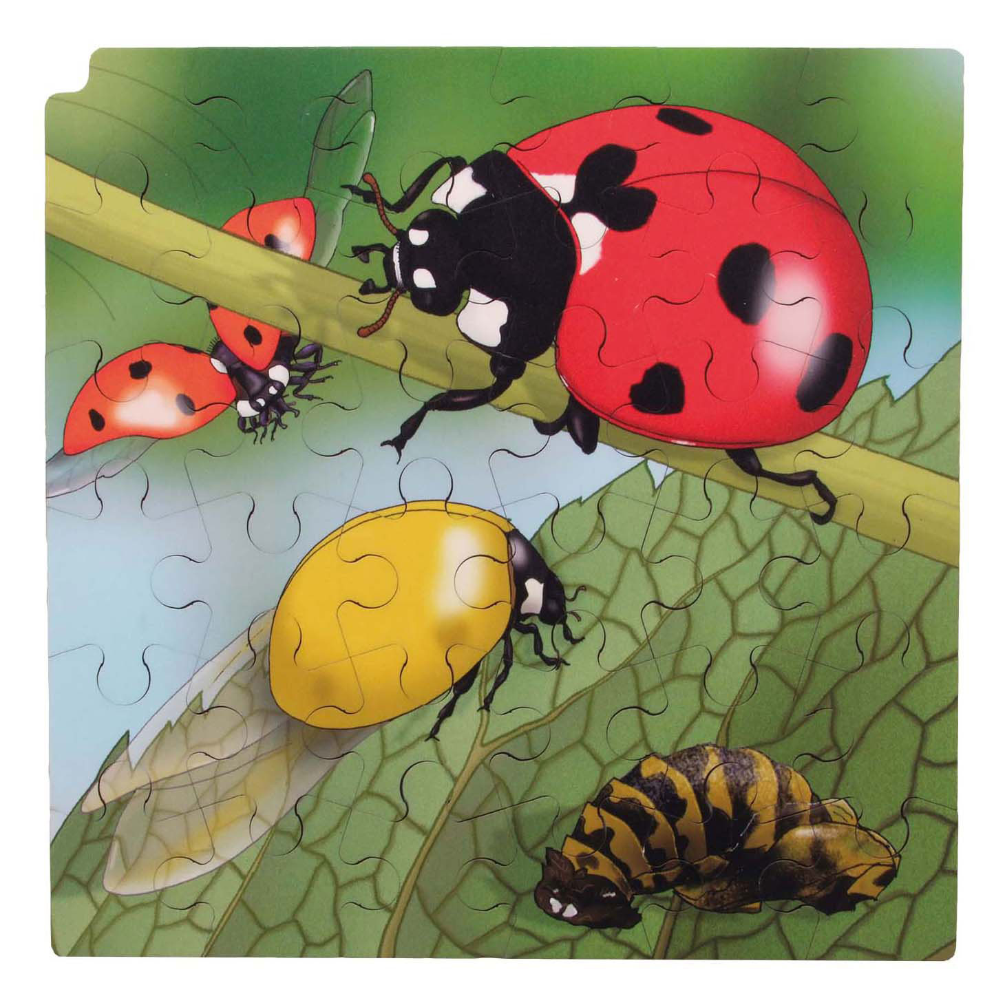 Rolf - Groei en 4 Lagenpuzzel Lieveheersbeestje - 86st. Rolf - Groei en 4 Lagenpuzzel Lieveheersbeestje - 86st.