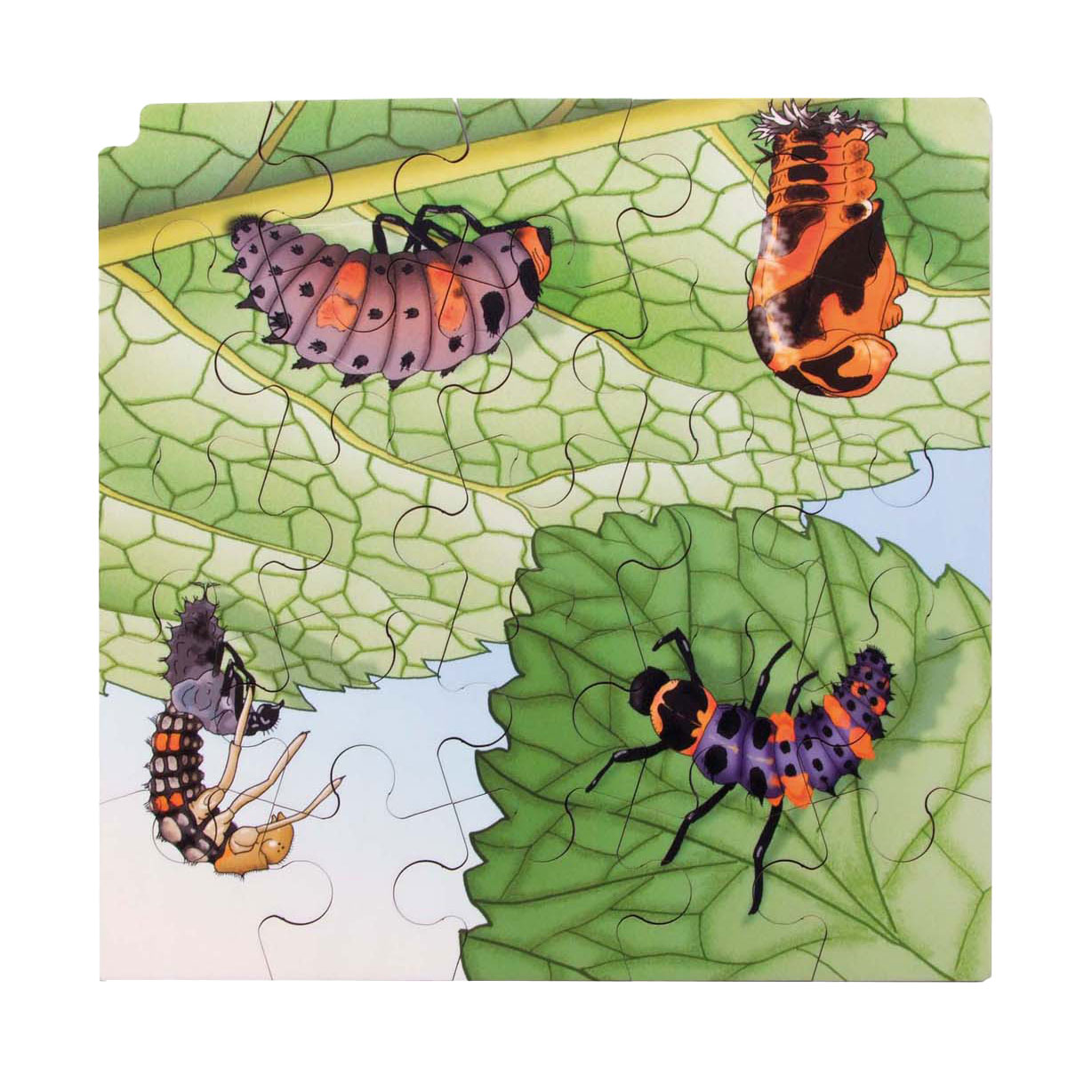 Rolf - Groei en 4 Lagenpuzzel Lieveheersbeestje - 86st. Rolf - Groei en 4 Lagenpuzzel Lieveheersbeestje - 86st.