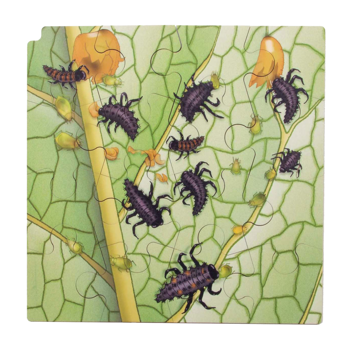 Rolf - Groei en 4 Lagenpuzzel Lieveheersbeestje - 86st. Rolf - Groei en 4 Lagenpuzzel Lieveheersbeestje - 86st.