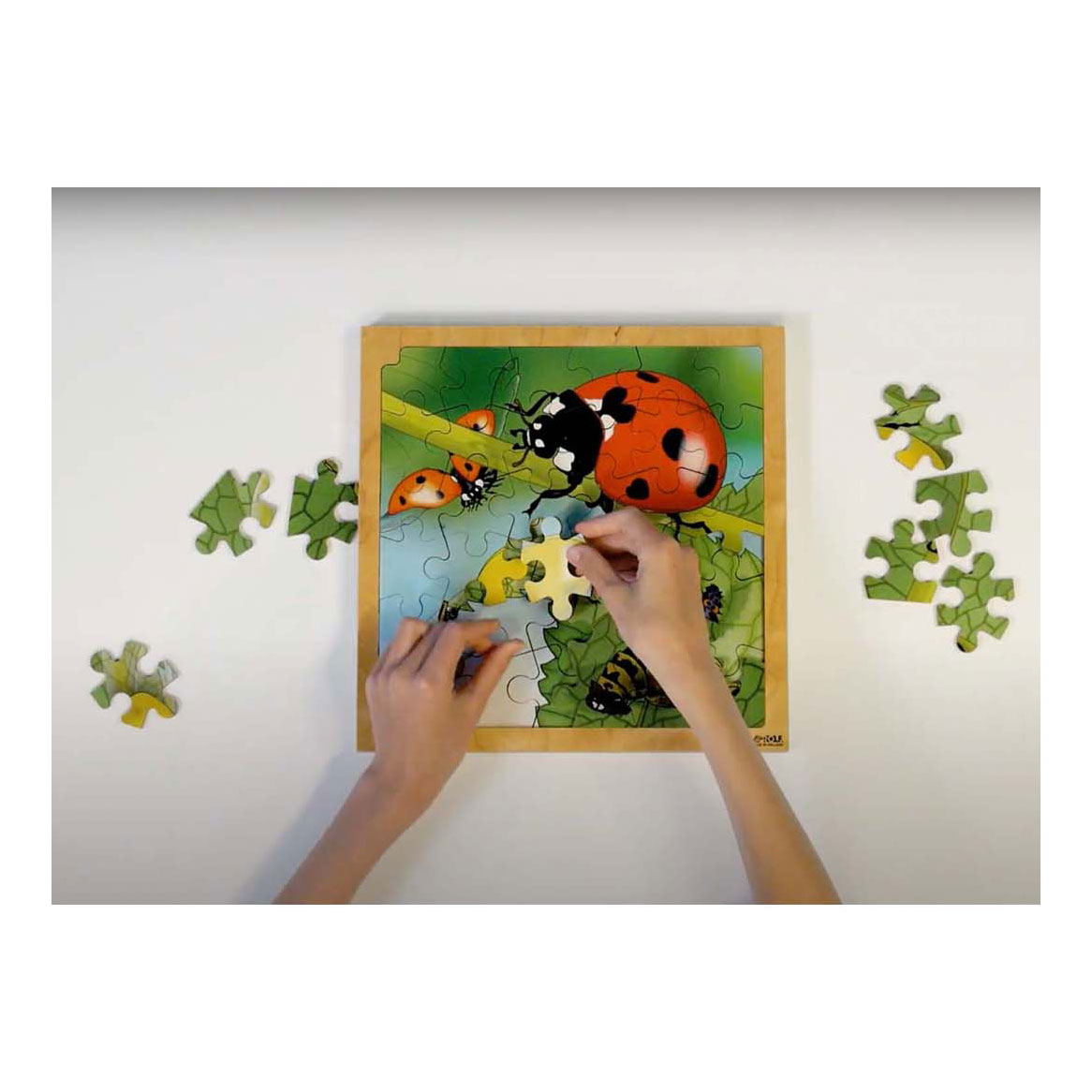 Rolf - Groei en 4 Lagenpuzzel Lieveheersbeestje - 86st. Rolf - Groei en 4 Lagenpuzzel Lieveheersbeestje - 86st.