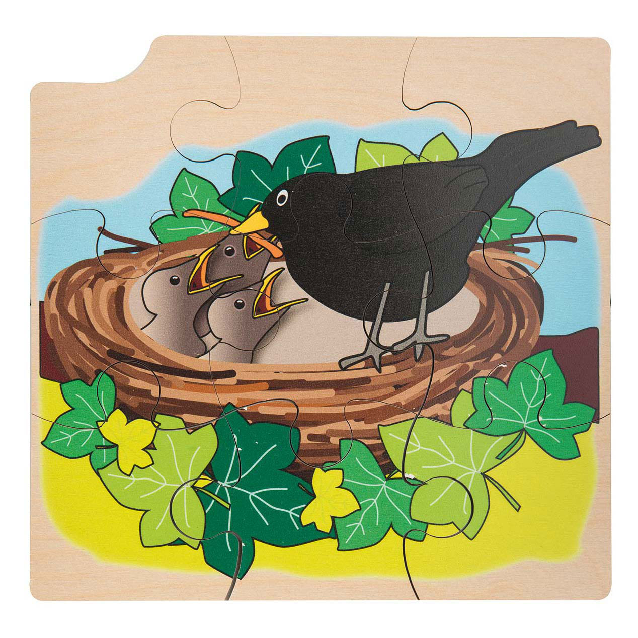 Rolf - Groei en 4 Lagenpuzzel Merel - 36st. Rolf - Groei en 4 Lagenpuzzel Merel - 36st.