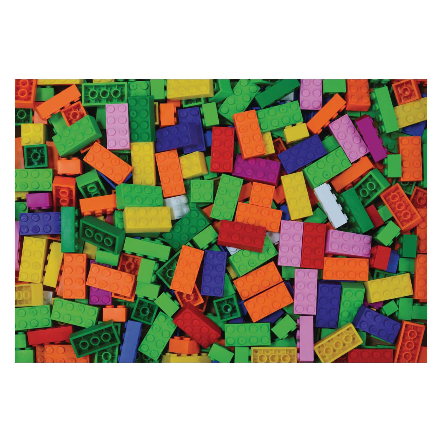 BiOBUDDi Education Small Bouwblokken - 1000dlg.